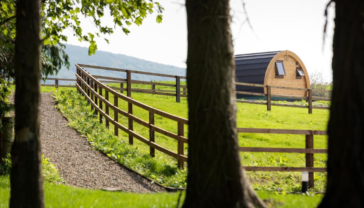 Luxury Two-Bed Glamping Pod In County Clare 2 Villa Kilbane Exterior photo